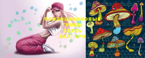PSILOCYBIN Кинешма