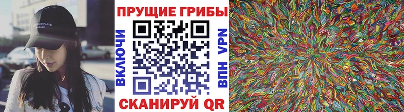 Псилоцибиновые грибы Psilocybe  Купить закладки  Кувандык 